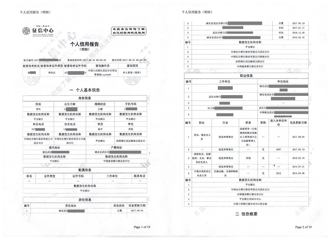借款人征信报告